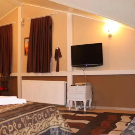 酒店 Sultansaray Suites 伊斯坦布尔